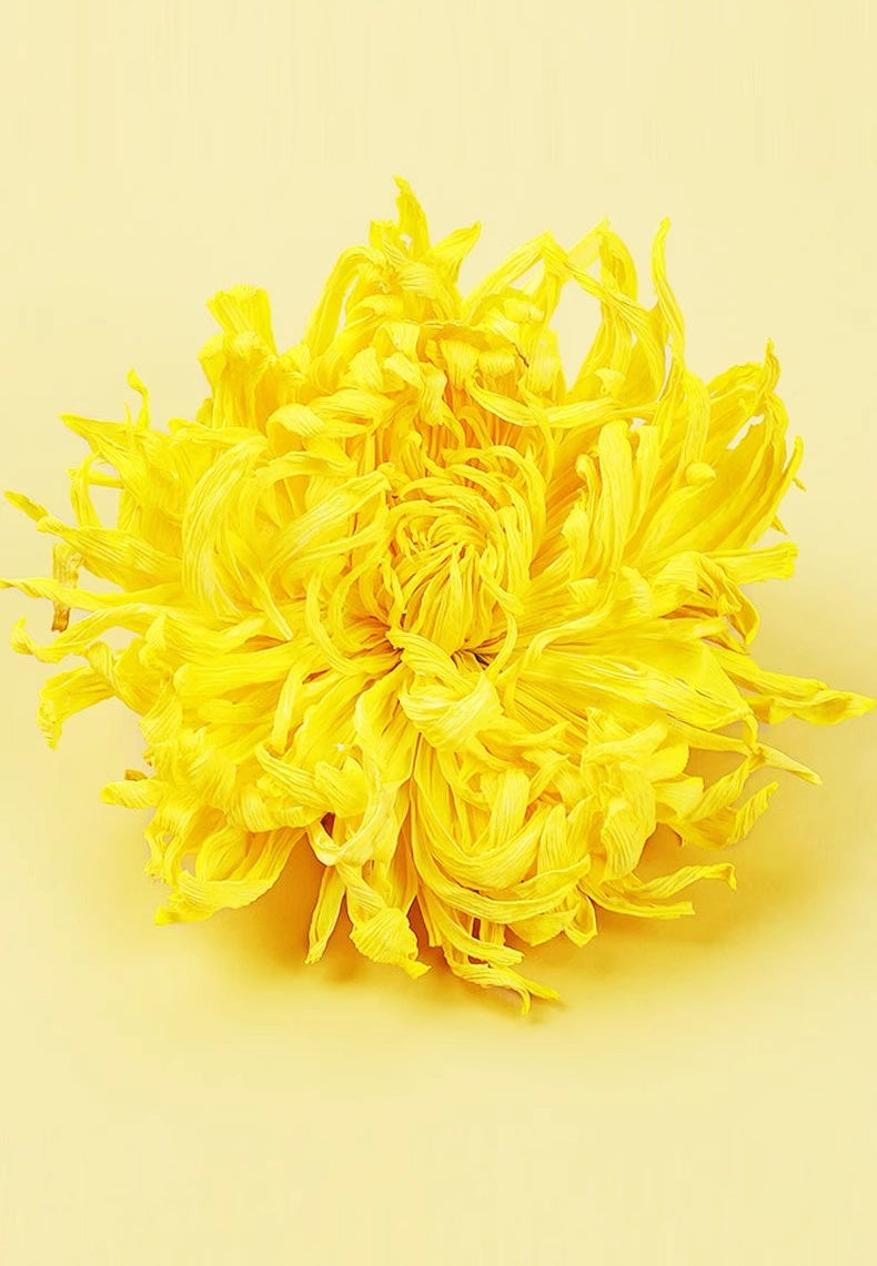 Three packets of Chrysanthemum morifolium ‘Golden Silk’ tea