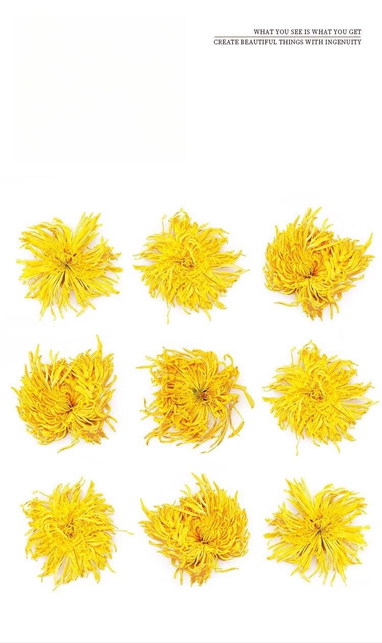 Three packets of Chrysanthemum morifolium ‘Golden Silk’ tea